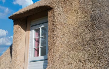 Kennford thatch roof disadvantages